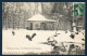 54. Nancy Sous La Neige. A La Pépinière. Parc Zoologique. 1909 - Nancy
