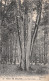 61-FORET DE BELLEME-N°T1175-F/0005 - Andere & Zonder Classificatie