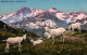 CPA - Sur L'ALPE - Troupeau De CHÈVRES (Pâturage) ... Edition Phototypie Co. - Altri & Non Classificati