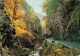 CPSM Route Des Alpes-En Automne Dans Les Gorges-Timbre   L2912 - Autres & Non Classés