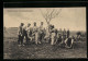 AK Soldaten Beim Hammelschlachten  - Oorlog 1914-18