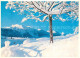 13732069 Wildhaus  SG Winterpanorama  - Other & Unclassified