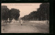 AK Saigon, Le Boulevard Norodon Et Le Gouvernement Général  - Vietnam