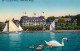 13534009 Ouchy Hôtel Beau Rivage Lac Leman Genfersee Schwaene Ouchy - Andere & Zonder Classificatie