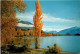 14-5-2024 (5 Z 10) New Zealand  (posted To Australia 1980 ? With Shell Stamp) Lake Wanaka - Nueva Zelanda