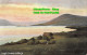 R354448 Lough Currane Co Kerry. Commercial Series. J. W. B. London E. Series No. - Other & Unclassified