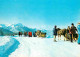 72801932 Zakopane Kulig Na Cyrhli Tatry Hohe Tatra Winterpanorama Zakopane - Pologne