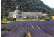 84-GORDES ABBAYE NOTRE DAME DE SENANQUE-N°4178-B/0327 - Gordes