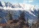 74-CHAMONIX MONT BLANC-N°4182-D/0369 - Chamonix-Mont-Blanc