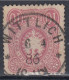 Wittlich 1886 - Usati