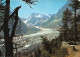 74-CHAMONIX MONT BLANC-N°4185-C/0137 - Chamonix-Mont-Blanc