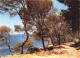 13-LA COTE D AZUR-N°4187-B/0127 - Andere & Zonder Classificatie