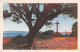 83-HYERES LES PALMIERS-N°LP5134-G/0137 - Hyeres