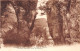 07-BOIS DE PAIOLIVE-N°4189-F/0185 - Andere & Zonder Classificatie