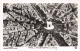 75-PARIS ARC DE TRIOMPHE-N°4190-D/0131 - Triumphbogen