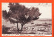 38526 / ⭐ 34-CETTE Sète Vue Générale Et Etang THAU 1915 Mitrailleur Marius 126e Reg à Elisa BOUTET Mercerie Port-Vendres - Sete (Cette)