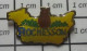 1818B Pin's Pins / Beau Et Rare / VILLES / ROCHESSON VOSGES HIBOU CHOUETTE RAPACE FORET SAPIN - Ciudades