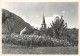 Postcard Switzerland Arcegno Kirche - Autres & Non Classés