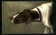 AK Jagdhund Mit Vorgestrecktem Kopf, Portrait  - Hunde