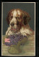 Präge-AK Hund Mit Veilchen-Briefkorb  - Honden