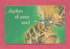 South Africa, Sud Africa- Used Phone Card With Chip By 20R, Telekom. -rhytm Of Your Soul- Exp. Date 8.1999- - Zuid-Afrika