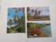 MARTINIQUE - Lot De 3 Cartes - - Other & Unclassified