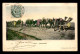 TUNISIE - SCENES ET TYPES -  EDITEUR F. SOLER CARTE PIONNIERE COLORISEE - CARAVANE - SAHARA - CHAMEAUX - Tunesien