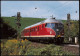 Diesel-Schnelltriebzug Sonderzug Stuttgarter Rössle Bei Stuttgart-Münster 1991 - Treni