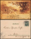 Wassermühle Landschaft Gruss Aus Künstlerkarte 1901 Privatfoto - Unclassified