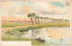 BELGIQUE -  Nieuport - Le Marais -  La Belgique Pittoresque - Edition Artistique - Colorisé - Carte Postale Ancienne - Nieuwpoort