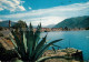 13050657 Ascona Lago Maggiore Panorama Ascona Lago Maggiore - Other & Unclassified
