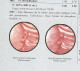 MAYOTTE 1999.  Y&T N° 48 Type I . LUQUET Légende LA POSTE - Sur Pli Local. TB - Unused Stamps