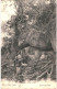 CPA Carte Postale Sénégal Dans La Forêt  1904 VM80745 - Senegal