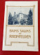 Guide Bains Salins De Rheinfelden Vers 1900 Ets De Bains Villas Chalets Excursions Plan Grand Hôtel Des Salines - Toeristische Brochures
