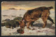 Künstler-AK Sanitätshund Auf Dem Schlachtfeld  - Honden