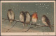 A Merry Xmas To You, 1904 - Postcard - Autres & Non Classés