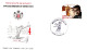 Delcampe - MONACO  LOT DE 34 FDC DIFFERENTES - Lots & Kiloware (mixtures) - Max. 999 Stamps