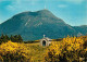 63 - Le Puy De Dome - Chapelle - CPM - Carte Neuve - Voir Scans Recto-Verso - Andere & Zonder Classificatie