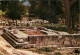 Grèce - Athènes - Athína - Olympie - Le Métroon Du NO - Carte Neuve - CPM - Voir Scans Recto-Verso - Greece