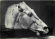 Art - Antiquités - Horse Of Selene - CPM - Voir Scans Recto-Verso - Antike