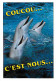 Animaux - Dauphins - CPM - Voir Scans Recto-Verso - Delphine