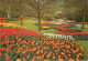 Pays-Bas - Nederland - Lisse - Keukenhof - Fleurs - CPM - Voir Scans Recto-Verso - Lisse