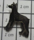 1818B Pin's Pins / Beau Et Rare / THEME : ANIMAUX / CHIEN NOIR DOBERMAN - Dieren