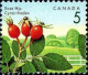 Canada Poste N** Yv:1262/1268 Baies Sauvages - Ungebraucht