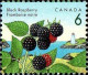 Delcampe - Canada Poste N** Yv:1262/1268 Baies Sauvages - Unused Stamps