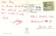 Postcard Switzerland Saint Bernard Puppey Dog - Other & Unclassified