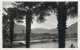 Postcard Switzerland Ascona Panorama - Other & Unclassified