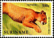 Suriname Avion N** Yv:100/101  Le Puma Concolor - Suriname