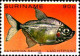 Suriname Avion N** Yv: 85/87 Poissons Tropicaux - Fishes