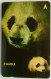 Singapore $5 GPT 169SIGB99 - Panda - Singapour